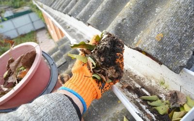 5 Tips to Clean Gutters